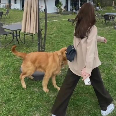 超人和露易丝第四季